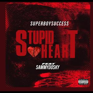 STUPID HEART (feat. Sammydosky) [Explicit]