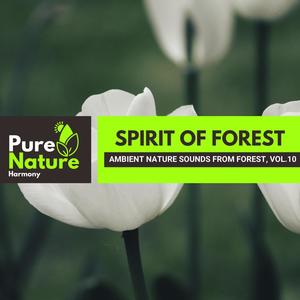 Spirit of Forest - Ambient Nature Sounds from Forest, Vol.10