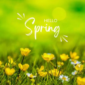 Hello Spring