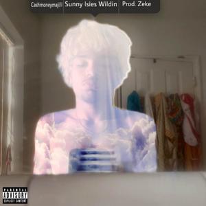 Sunny Isles Wildin (Explicit)