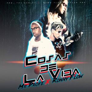 Mr Profe - Cosas de la Vida (feat. Ronny Flow)