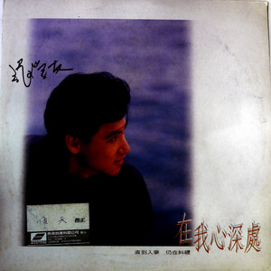 系情 (黑胶版)封面