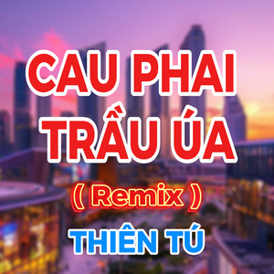 Thiên Tú - Cau Phai Trầu Úa (HM Remix)