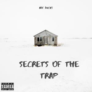 Secrets Of The Trap (Explicit)