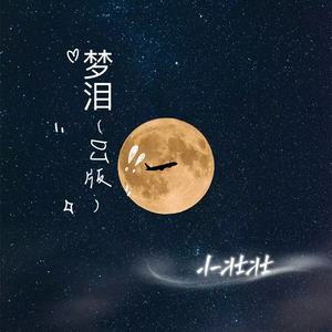 梦泪 (DJ版)
