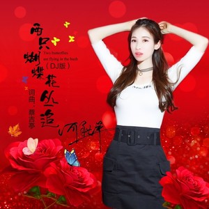 两只蝴蝶花丛追 (DJ版)