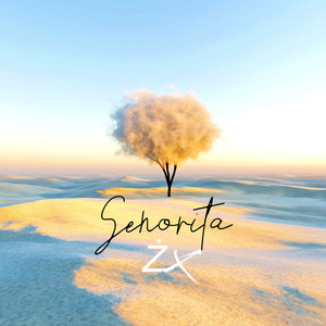 Señorita (Explicit)