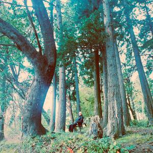 All Jokes Set Aside (Explicit)