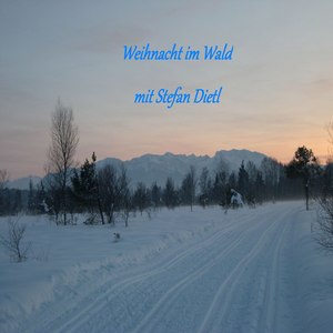 Weihnacht im Wald