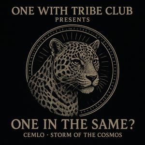 One In The Same? (feat. Storm Of The Cosmos) (Explicit)