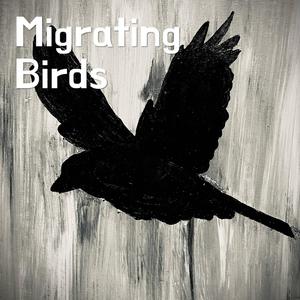 Migrating Birds