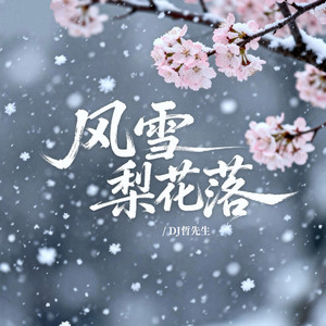 风雪梨花落 (压声版)
