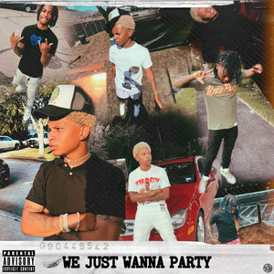 We Just Wanna Party (Explicit)