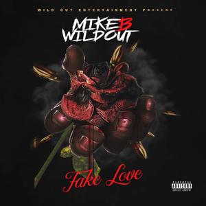 Fake Luv (Explicit)