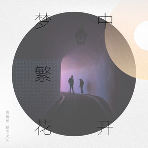 全职高手剧情歌 梦中繁花开