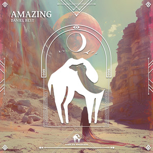 Amazing (Extended Mix)
