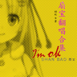 每一面都美 (DJ长音频) - 扇宝的钢板封面