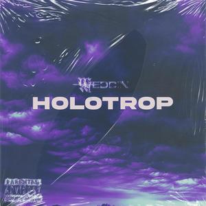 HOLOTROP (Explicit)