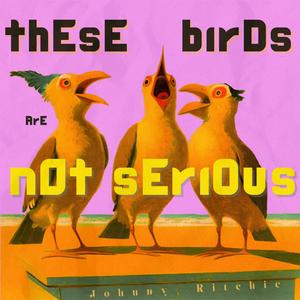 thEsE birDs ArE n0t sEriOus