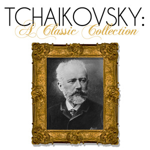 Violin Concerto in D Major, Op. 35: I. Allegro moderato