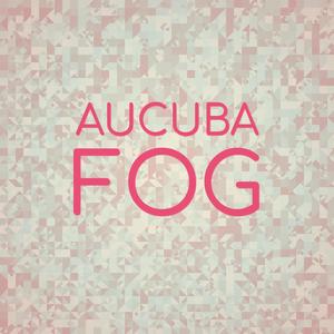Aucuba Fog