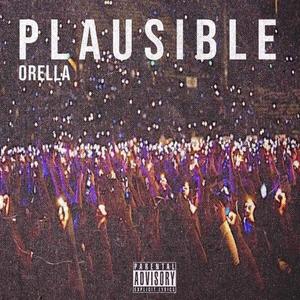Plausible (Explicit)