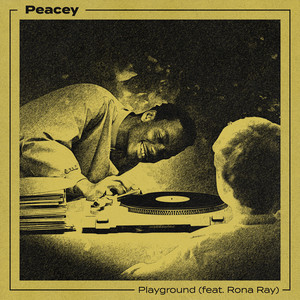 Playground (Peacey's Acid Dub)