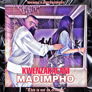 MADIMPHO KWENZAKALANI TIKTOK AMAPIANO SONG (feat. Natureboyz)