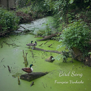 Bird Song