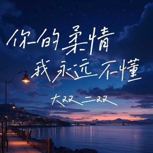 你的柔情我永远不懂