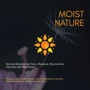 Moist Nature (Nature Sounds For Yoga, Massage, Relaxation, Healing And Deep Sleep) (Peaceful And Calming Music, Music For Anxiety Control, Meditation Music, Birds Chirping, Vol. 6)