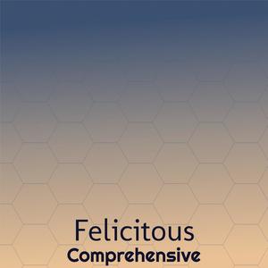 Felicitous Comprehensive