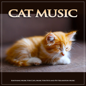 Cat Music