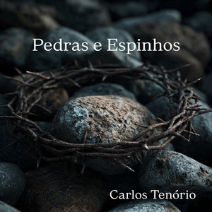Pedras e espinhos