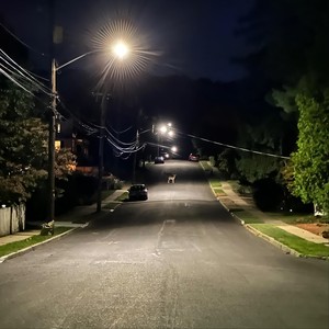 And So You Have Arrived