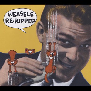 Weasels Ripped My Flesh