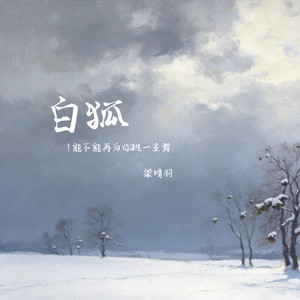 白狐（能不能再为你跳一支舞）封面