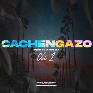 Cachengazo, Vol. 1 (DjSetLive)