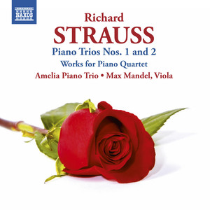 Strauss, R.: Piano Trios Nos. 1 and 2 / Works for Piano Quartet (Amelia Piano Trio, Mandel)