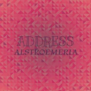 Address Alstroemeria