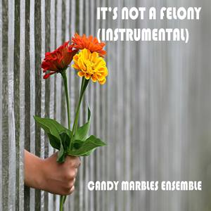 It's Not A Felony (Instrumental)