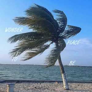 Wonder Place to Be