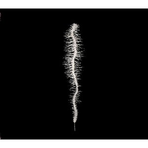 Washily(Somfay 'Xkorrodrr' Degauss)