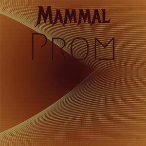 Mammal Prom