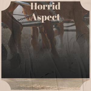 Horrid Aspect