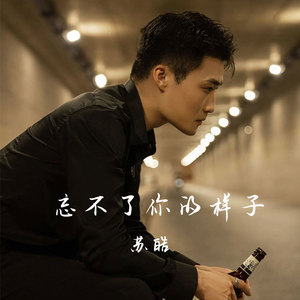 忘不了你的样子