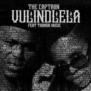 Vulindlela (feat. ThandoMusic)