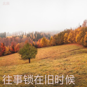 爱痕难消