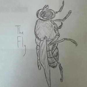 The Fly (Explicit)