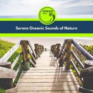 Thunderstorm Light Rain